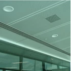 Perforated Metal Ceiling TBS 3 mm 1